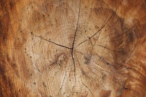 Jotun beis av laftet tømmerhytte