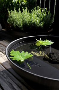 Terrassetrender 2019