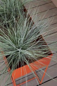 Trebitt Terrassebeis Nordisk Tre