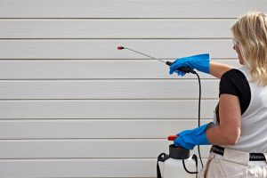 Vaske huset med Jotun husvask