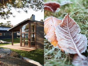 TREBITT 0676 Tjærebrun, og detaljene med TREBITT 0682 Oker.