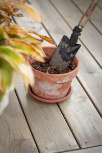 Trebitt Oljebeis Terrasse