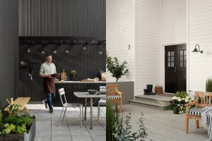 Kollasj av hus malt med Labrador og Egghvit