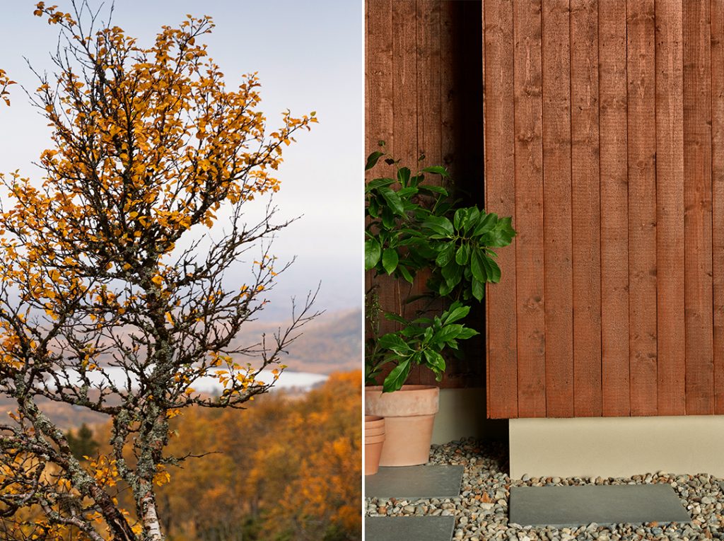 Høstfarger utendørs og hytte beiset med Trebitt Oljebeis 0682 Kastanje